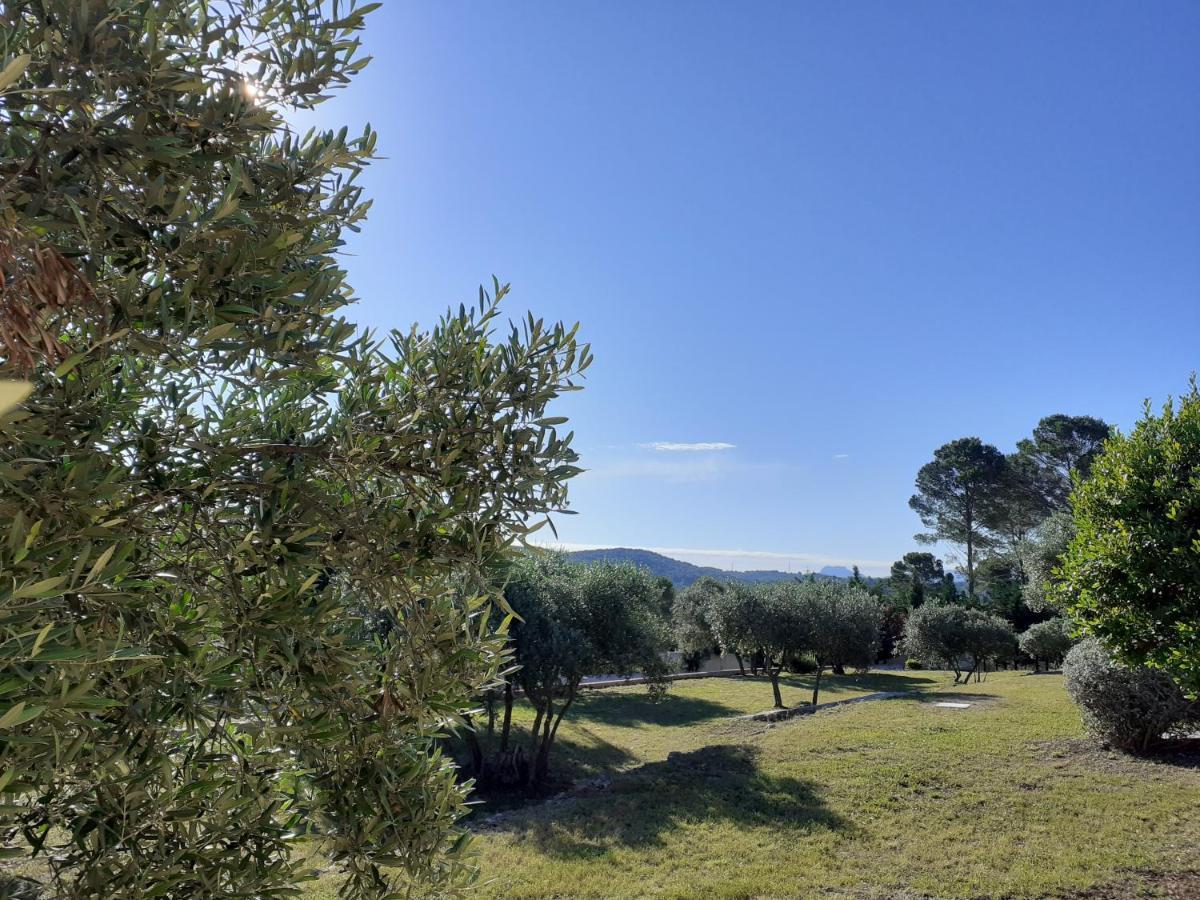 Bed and Breakfast La Bastide Des Selves Draguignan Exteriér fotografie