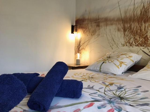 Bed and Breakfast La Bastide Des Selves Draguignan Exteriér fotografie